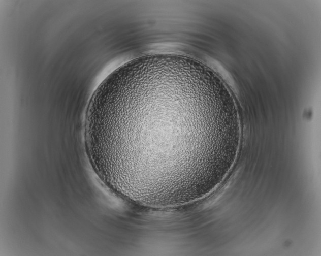 X0000091371386200708171535