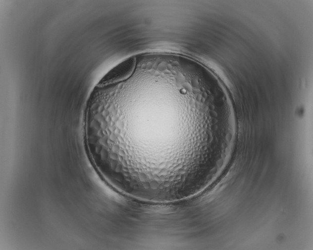 X0000091371387200708171535