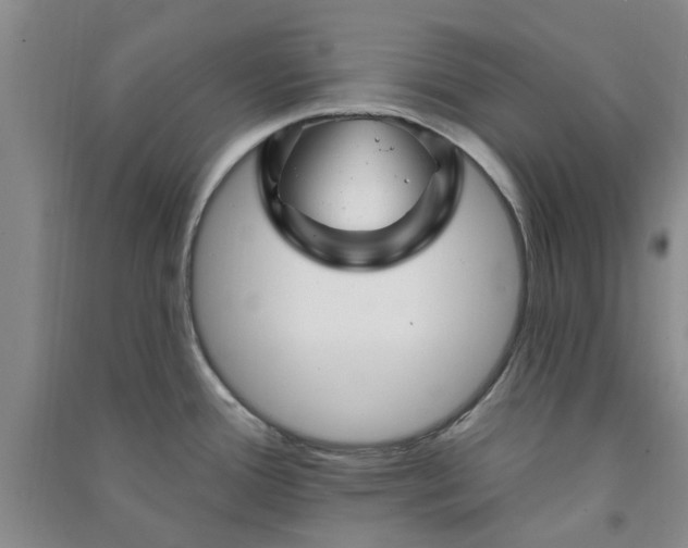 X0000091371388200708171535