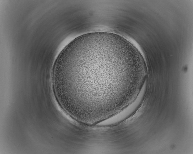 X0000091371389200708171535