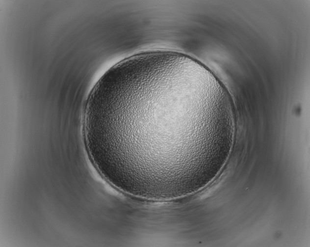 X0000091371390200708171535