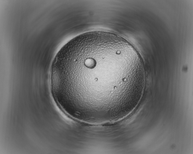 X0000091371391200708171535