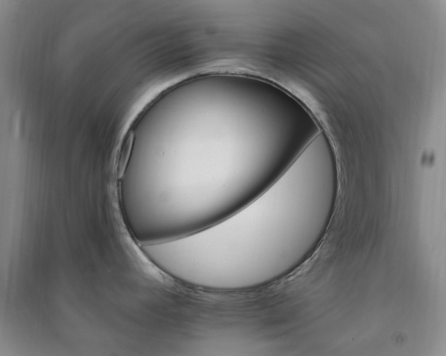 X0000091371392200708171535