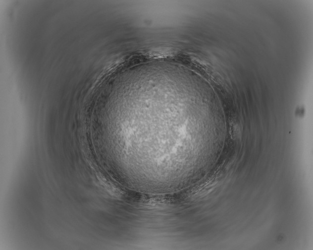 X0000091371393200708171535