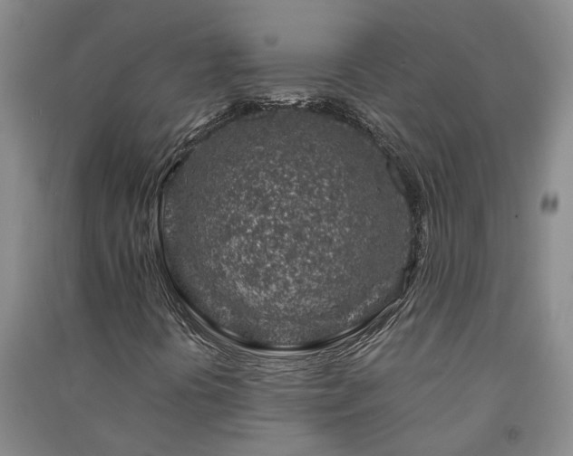 X0000091371394200708171535