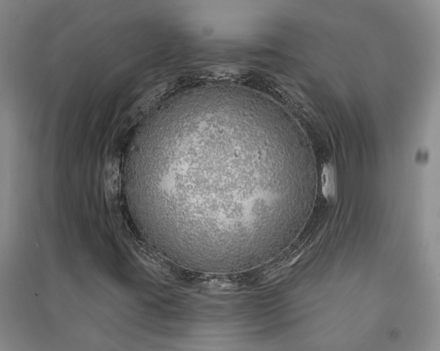 X0000091371395200708171535