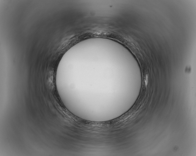 X0000091371396200708171535