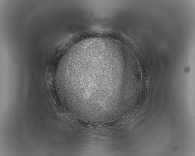 X0000091371397200708171535