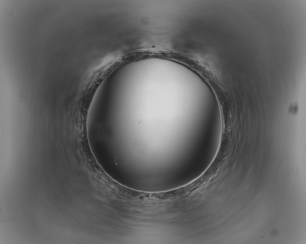 X0000091371398200708171535