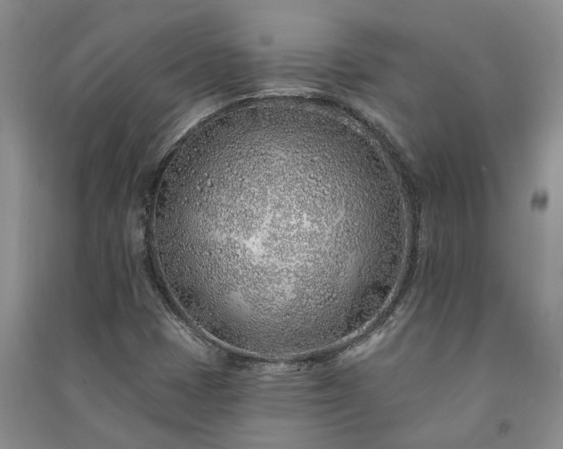 X0000091371401200708171535