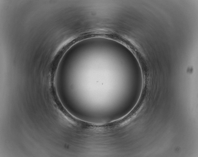 X0000091371402200708171535