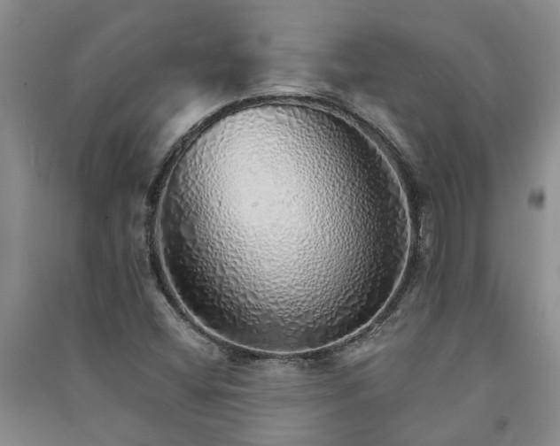 X0000091371404200708171535