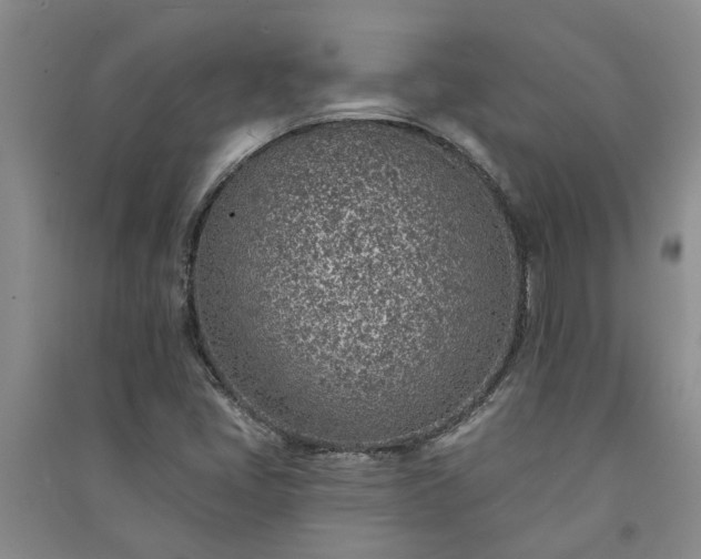 X0000091371405200708171535