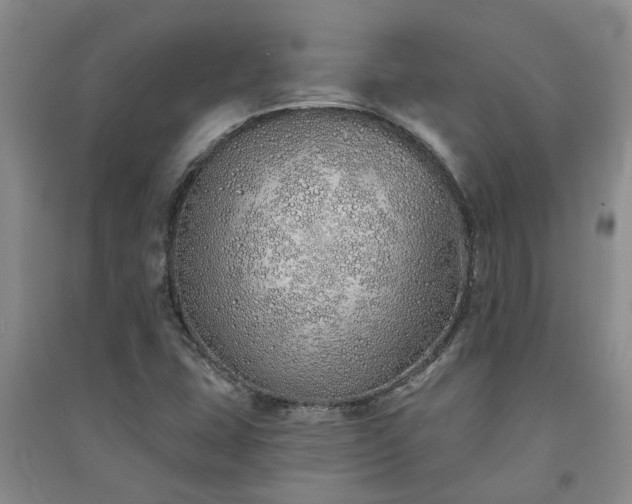 X0000091371407200708171535