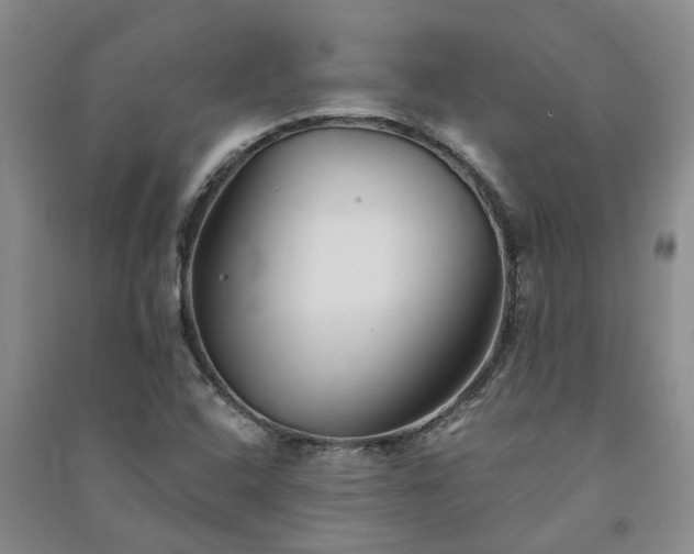 X0000091371408200708171535