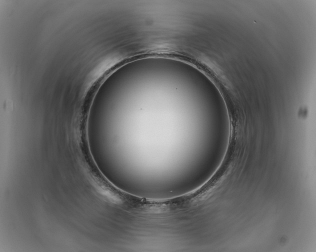 X0000091371410200708171535