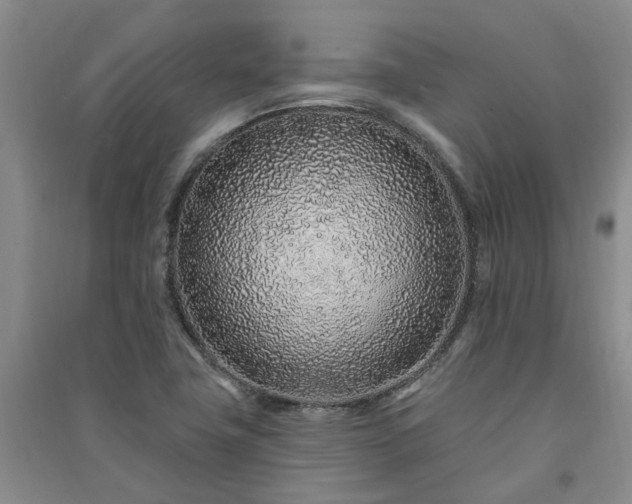 X0000091371411200708171535