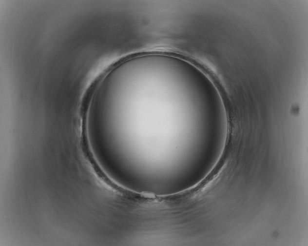 X0000091371414200708171535