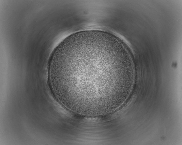 X0000091371415200708171535