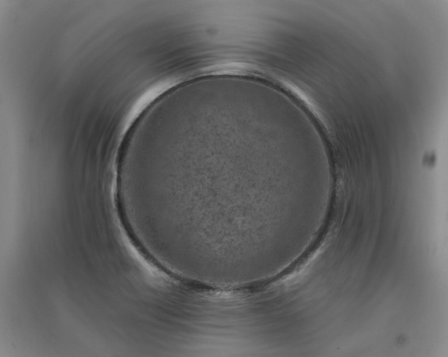 X0000091371418200708171535