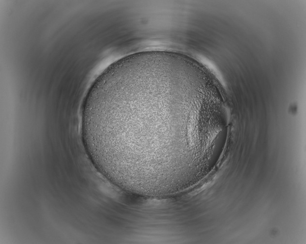 X0000091371419200708171535