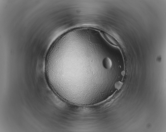 X0000091371420200708171535