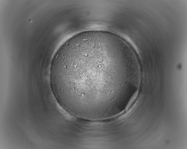 X0000091371421200708171535