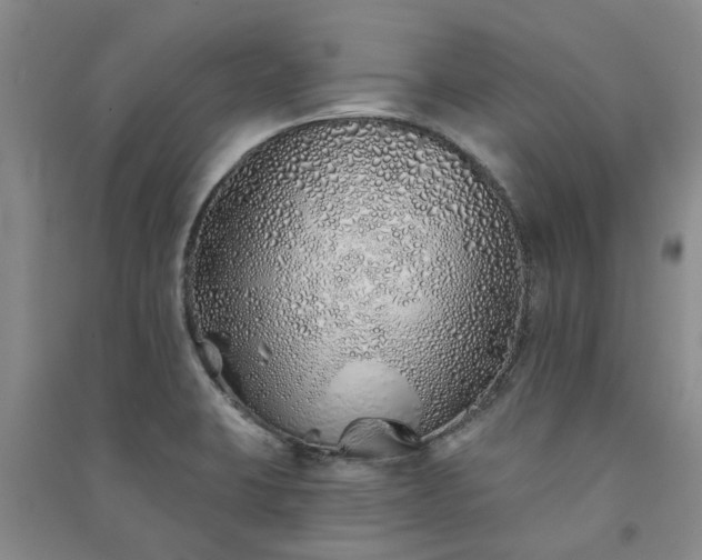 X0000091371423200708171535