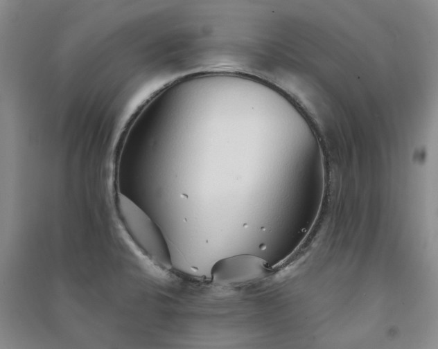 X0000091371424200708171535