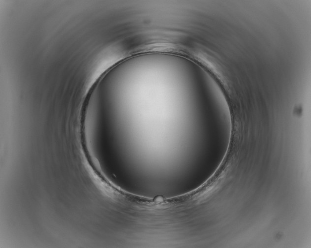 X0000091371426200708171535