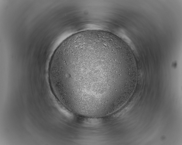 X0000091371427200708171535