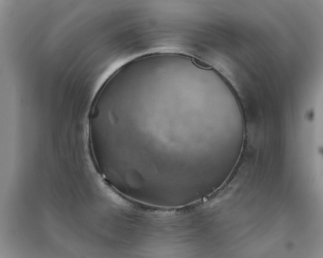 X0000091371428200708171535