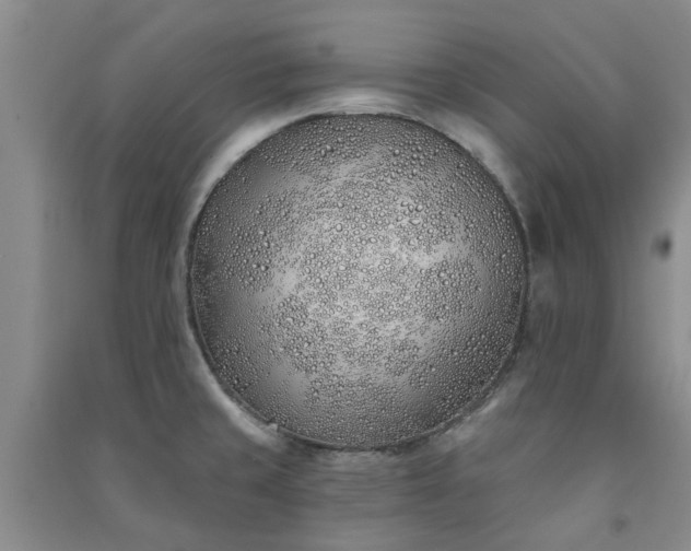 X0000091371429200708171535