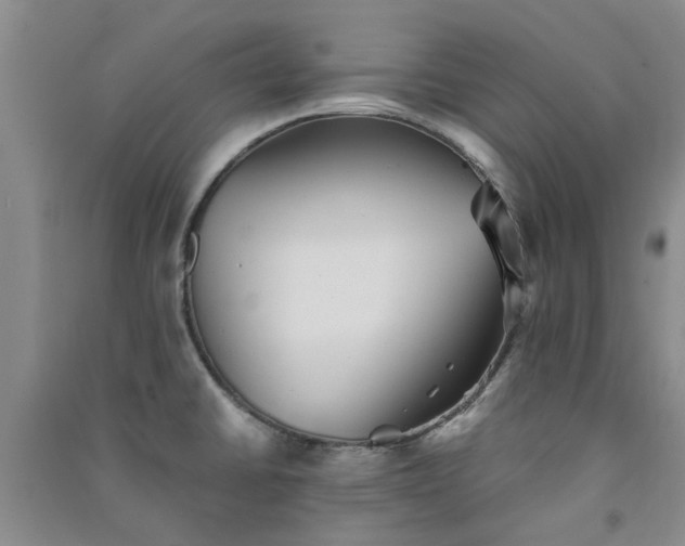 X0000091371430200708171535