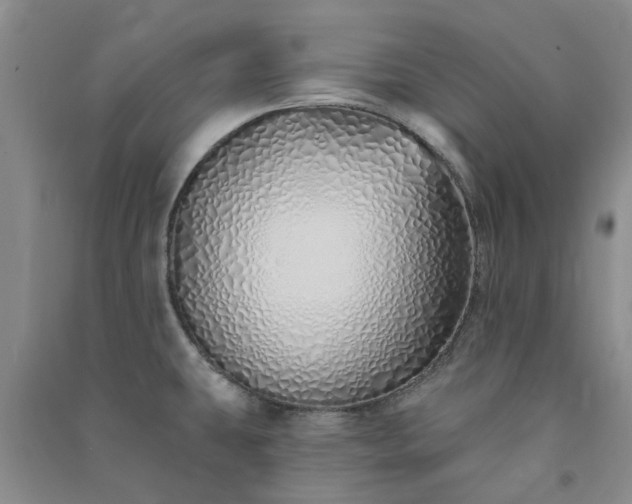 X0000091371431200708171535