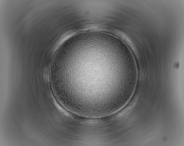 X0000091371433200708171535