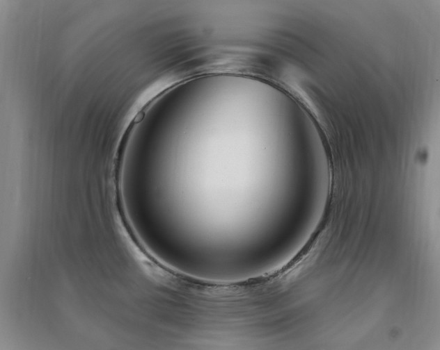 X0000091371434200708171535