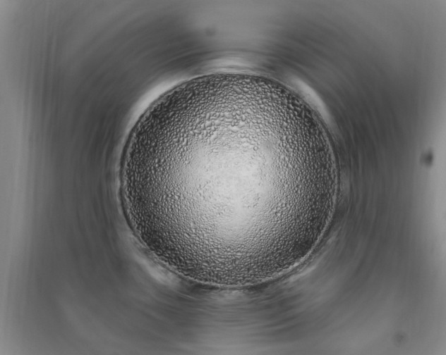 X0000091371435200708171535