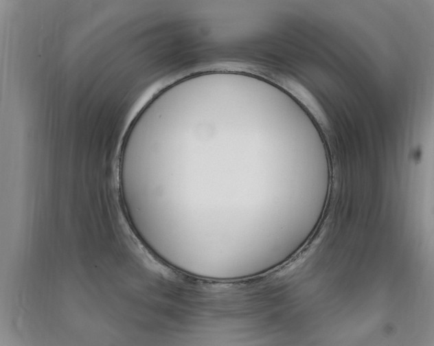 X0000091371436200708171535