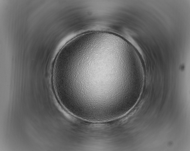 X0000091371437200708171535