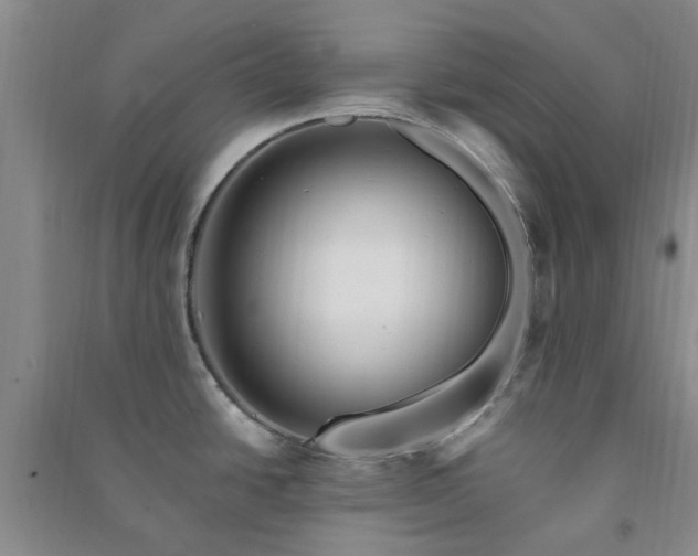 X0000091371438200708171535