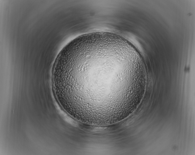 X0000091371439200708171535