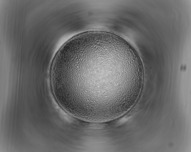 X0000091371440200708171535