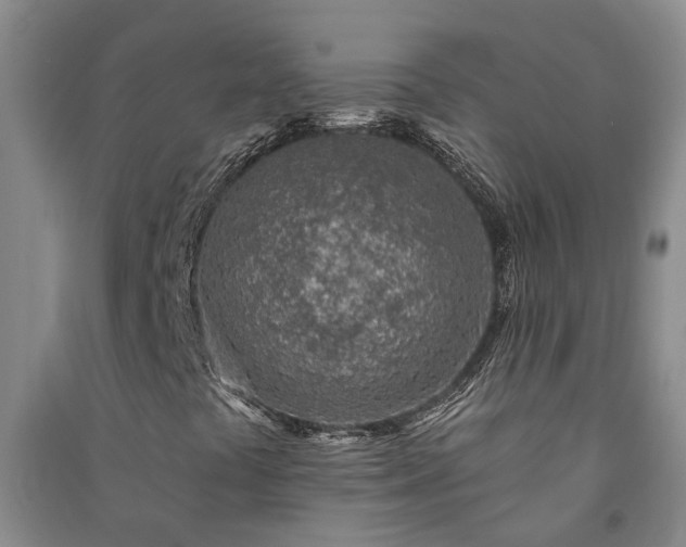 X0000091371441200708171535