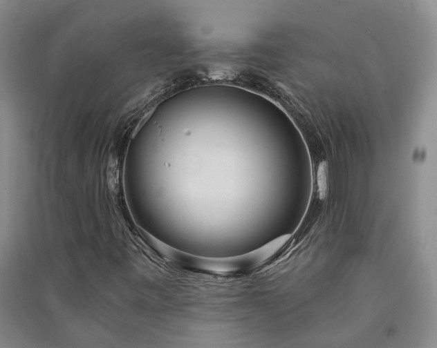 X0000091371443200708171535