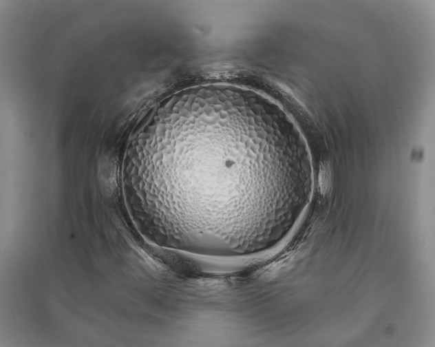 X0000091371444200708171535