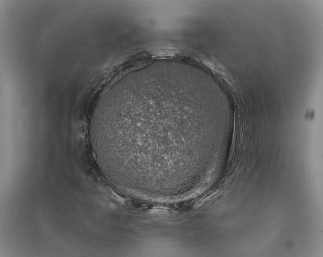 X0000091371445200708171535