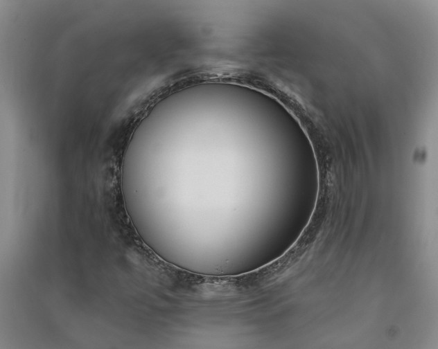 X0000091371447200708171535