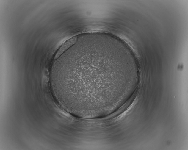 X0000091371449200708171535