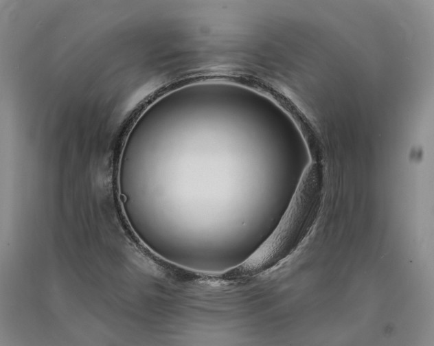 X0000091371450200708171535